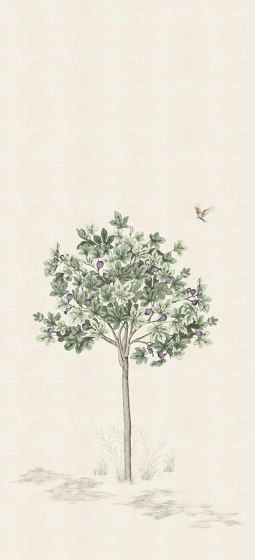Arbustes Figuier Naturel | Revestimientos de paredes / papeles pintados | ISIDORE LEROY