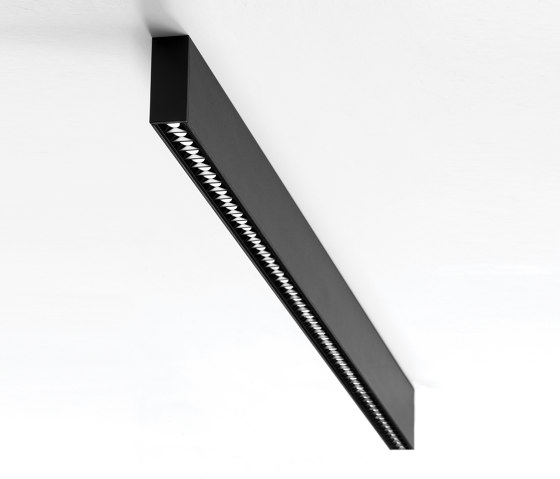 Traceline | Surface-Pendant | Plafonniers | Reggiani Illuminazione