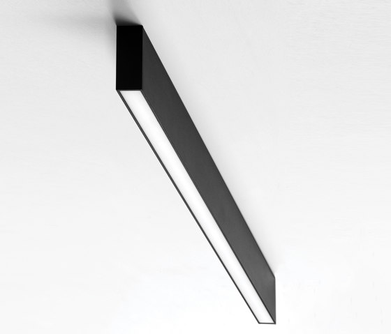 Traceline | Surface-Pendant | Plafonniers | Reggiani Illuminazione
