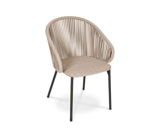 Basil Sessel | Stühle | Fischer Möbel