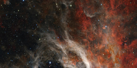 Tarantula Nebula 1 | Dekoratives Glas | TECNOGRAFICA