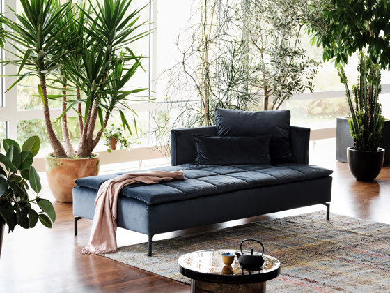 Daybed Remy | Lettini / Lounger | SCHRAMM