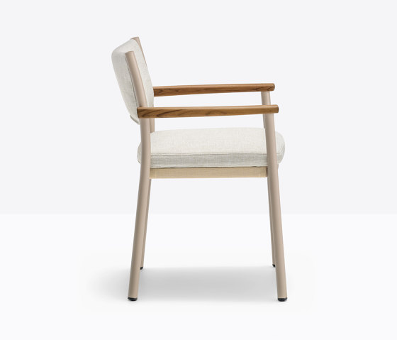 Guinea 3694 | Chairs | PEDRALI