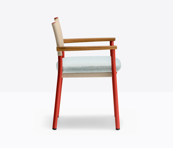 Guinea 3695 | Chairs | PEDRALI