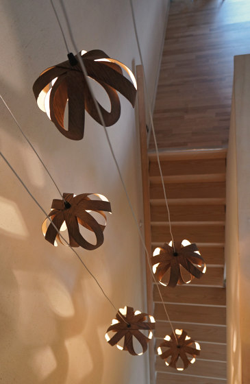 Lilly | Suspended lights | Passion 4 Wood