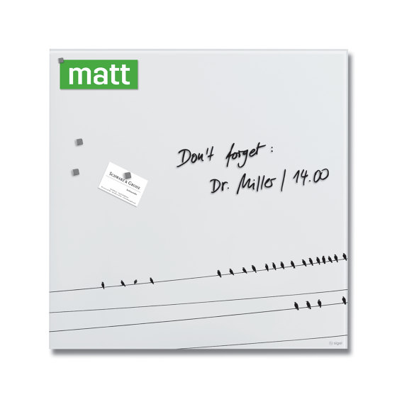Lavagna magnetica di vetro Artverum, motivo Little Birds, matt, 48 x 48 cm | Lavagne / Flip chart | Sigel
