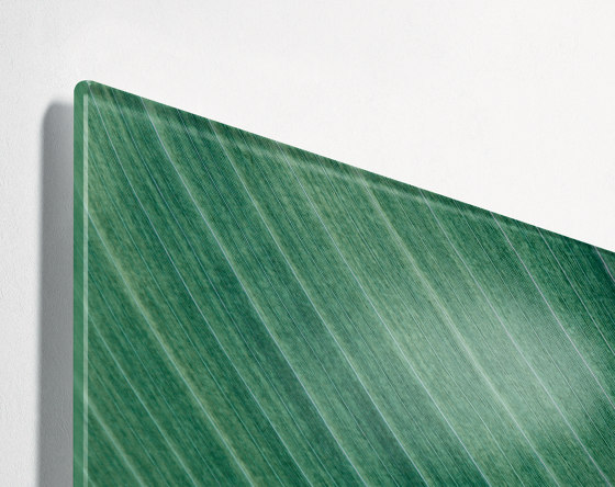 Pizarra de cristal magnética Artverum, diseño Palm Leaf, mate, 91 x 46 cm | Pizarras / Pizarras de caballete | Sigel
