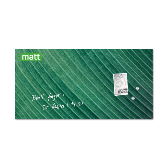 Lavagna magnetica di vetro Artverum, motivo Palm Leaf, matt, 91 x 46 cm | Lavagne / Flip chart | Sigel