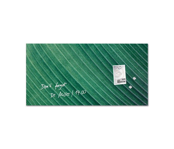 Tableau magnétique en verre Artverum, motif Palm Leaf, mat, 91 x 46 cm | Chevalets de conférence / tableaux | Sigel