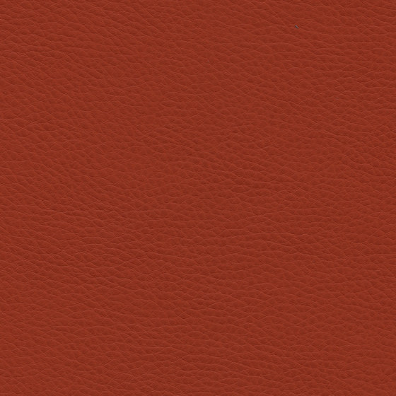 Montage | Orange Pepper | Upholstery fabrics | Ultrafabrics