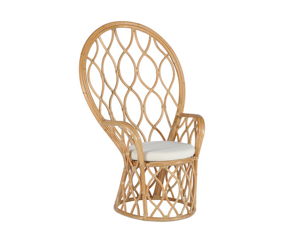 Raissa Lounge Chair | Fauteuils | cbdesign