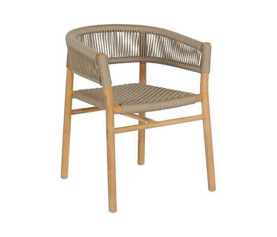 Ariel Dining Armchair | Chairs | cbdesign