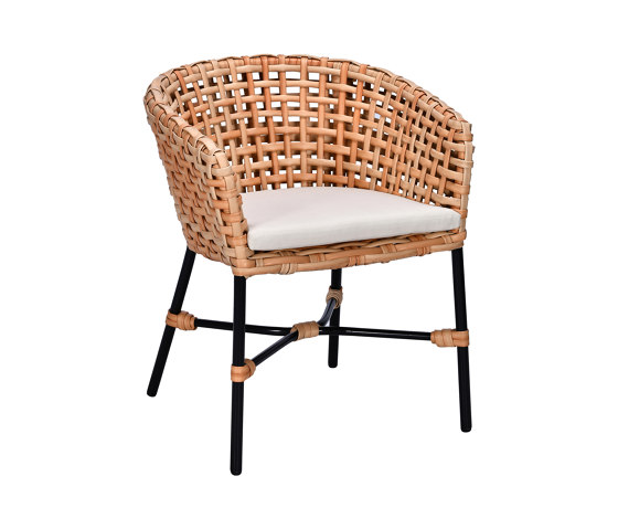 Fabion Dining Armchair | Stühle | cbdesign