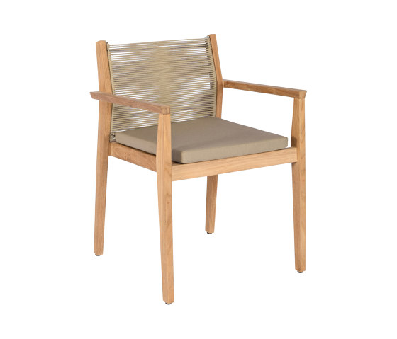 Primula Dining Armchair | Chairs | cbdesign