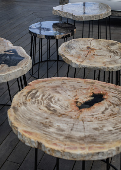 Thea Petrified Round Coffee Table S/2 | Tables gigognes | cbdesign