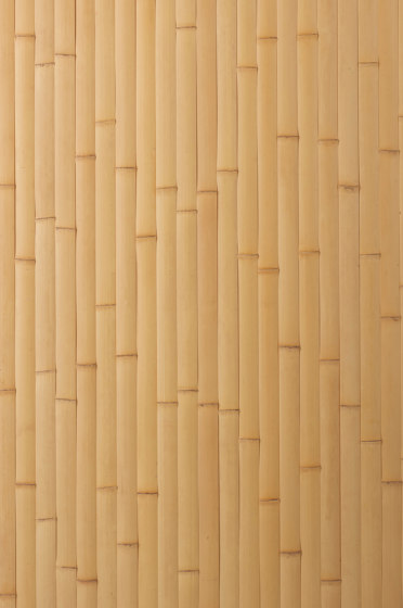 Takesada Bamboo_Hirawari | Planchas de bambú | Hiyoshiya