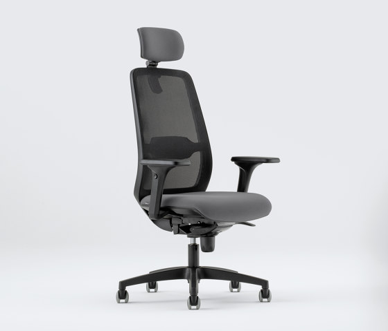 Paddle | Office chairs | Aresline