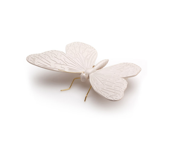 Asian nude butterfly | Objets | Mambo Unlimited Ideas