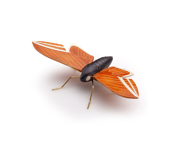 Elephant orange butterfly | Oggetti | Mambo Unlimited Ideas