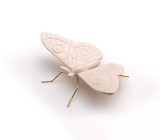 Peacock nude butterfly | Objekte | Mambo Unlimited Ideas