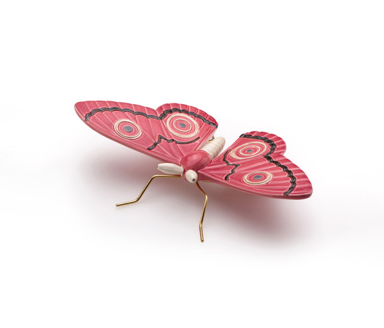 Peacock pink butterfly | Objekte | Mambo Unlimited Ideas