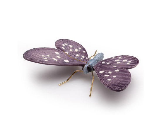 Shadow lilac butterfly | Objekte | Mambo Unlimited Ideas