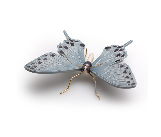 Swallow blue butterfly | Objets | Mambo Unlimited Ideas