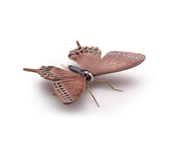 Swallow manganês butterfly | Objetos | Mambo Unlimited Ideas