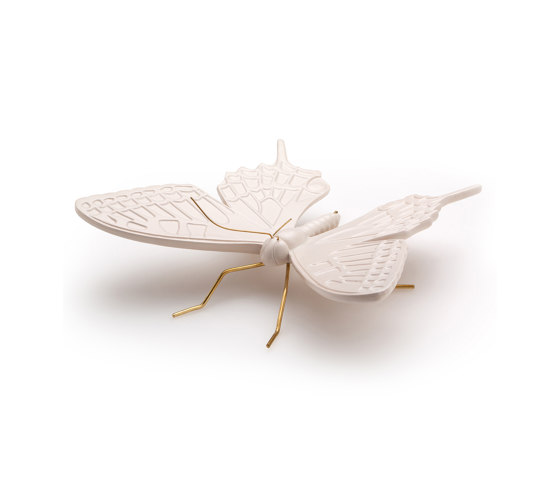 Swallow nude butterfly | Objekte | Mambo Unlimited Ideas