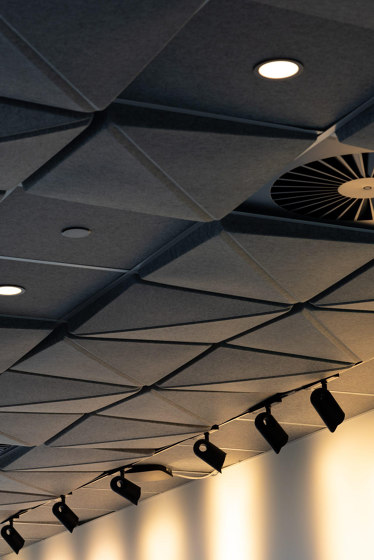 Placas de techo 3D - Placa de techo moldeada | Sistemas de techos acústicos | Autex Acoustics