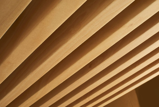 Acoustic Timber™ - Produits acoustiques aspect bois naturel | Plafonds acoustiques | Autex Acoustics