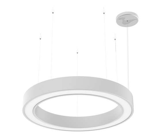BIG CIRCLE RING 2.0® 900 | Suspended lights | perdix