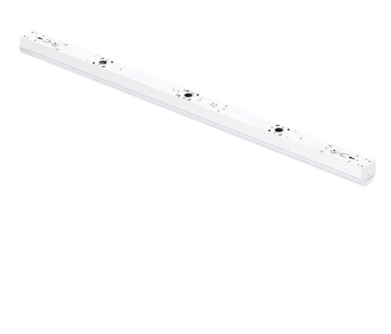 CHEEKY® surface on/of | Ceiling lights | perdix