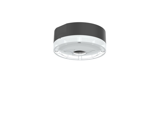 EMER® circle 2.0 surface-mounted | Éclairage de secours | perdix
