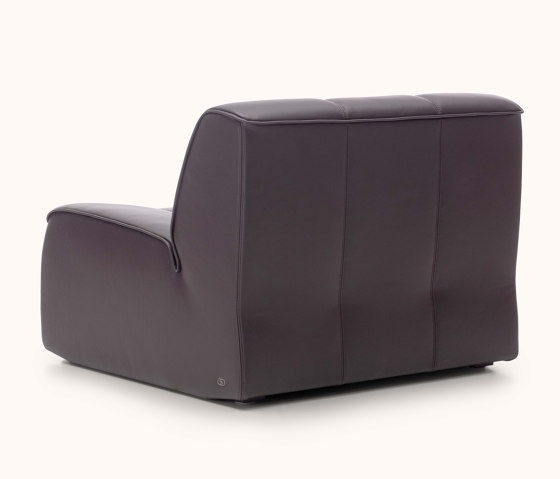 DS-910 Lounge | Sessel | de Sede