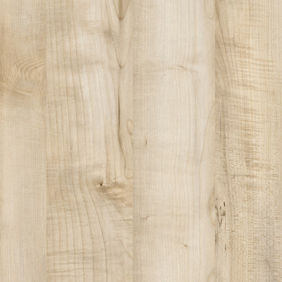 RESOPAL Woods | Kanaka Maple | Habillage mural stratifié | Resopal