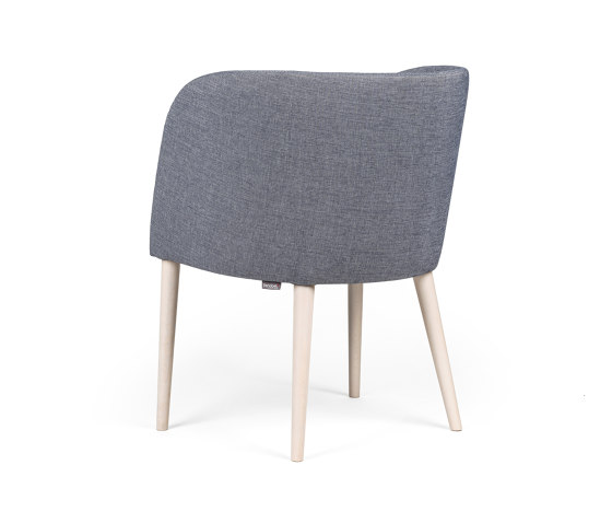 Gomo Maple | Chairs | Fenabel