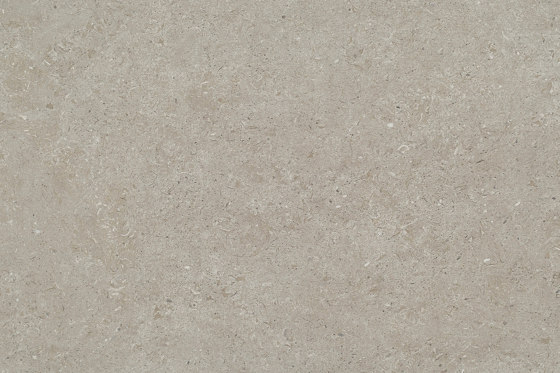 Lithocera XXL-Format, Muschelkalk Beige-Braun | Pannelli cemento | Metten