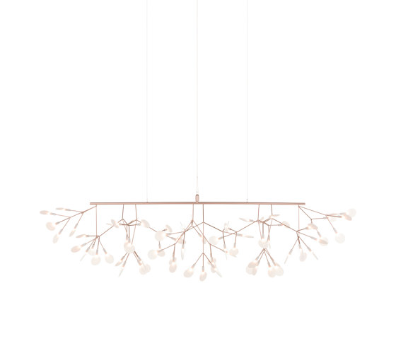 Heracleum III Linear, Copper | Suspended lights | moooi