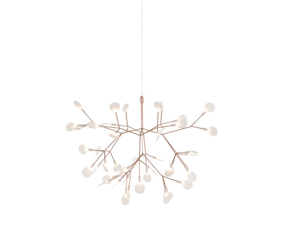 Heracleum III Suspended, Small, Copper | Suspended lights | moooi