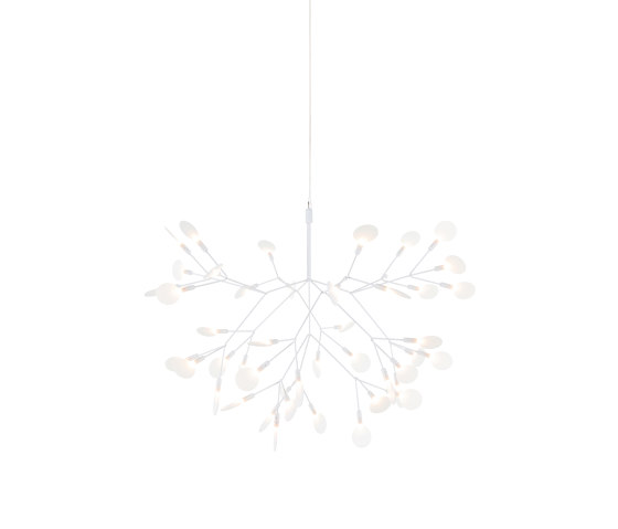 Heracleum III Suspended, Small, White | Suspensions | moooi