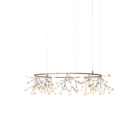 Heracleum III The Big O, Small, Copper | Suspended lights | moooi