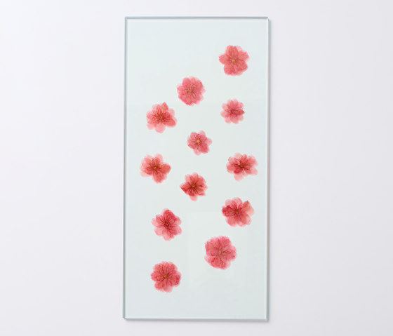 Sakura glass panel | Verre décoratif | Hiyoshiya