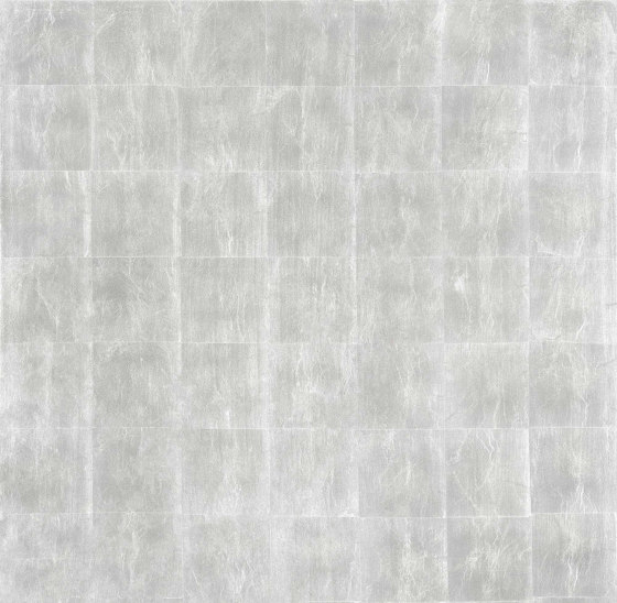 Cydonia Silver B | Wall coverings / wallpapers | TECNOGRAFICA