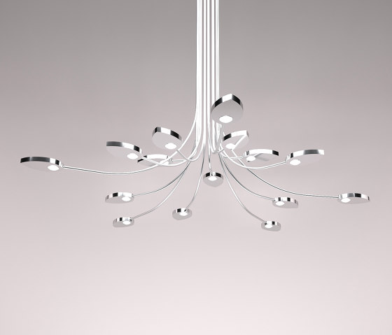 Lilly Curved Config. 2 Large (15 Petals) | Suspended lights | Ovature Studios