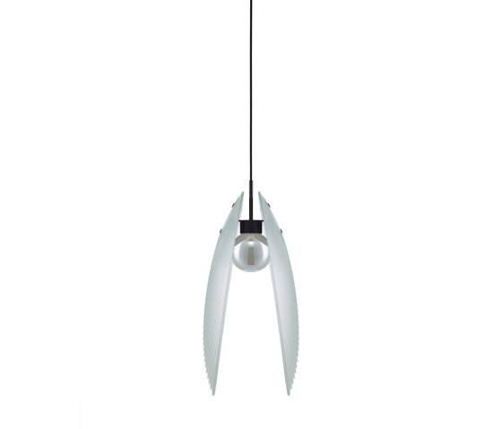 AMA opened clear matte | Suspended lights | Bomma