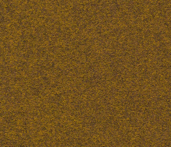 Finett G.T. 2000 | 2002 | Wall-to-wall carpets | Findeisen