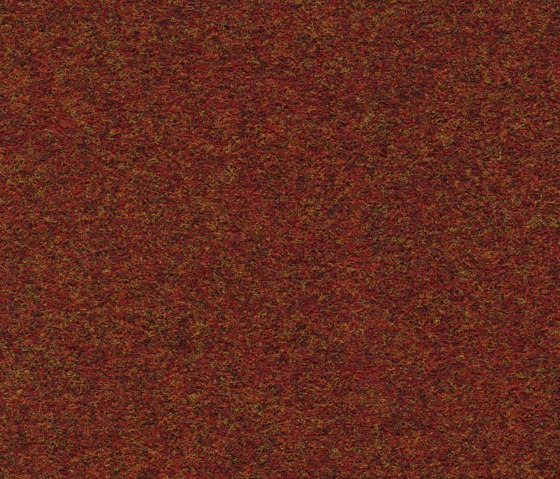 Finett G.T. 2000 | 4402 | Wall-to-wall carpets | Findeisen