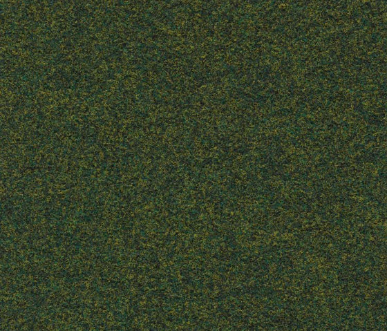 Finett G.T. 2000 | 6002 | Wall-to-wall carpets | Findeisen