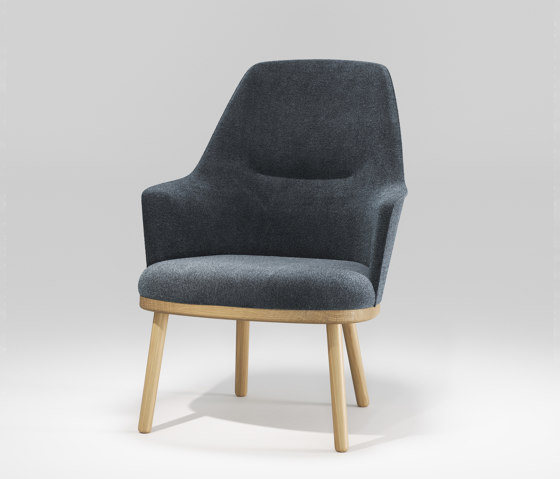 Sartor Lounge Chair | Poltrone | Wewood